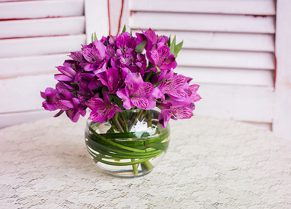 Fancy Alstroemeria
